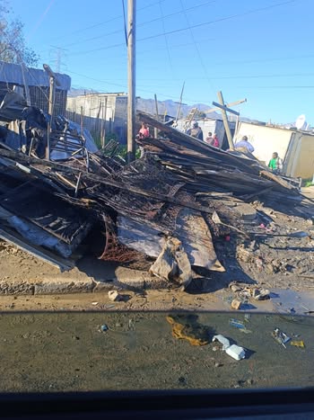 May be an image of 7 people and timber yard