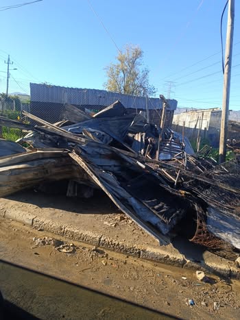 May be an image of timber yard